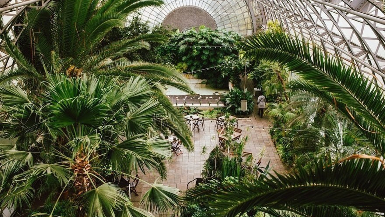 Места для фотосессии в Санкт-Петербурге, свадебный фотограф, фотограф