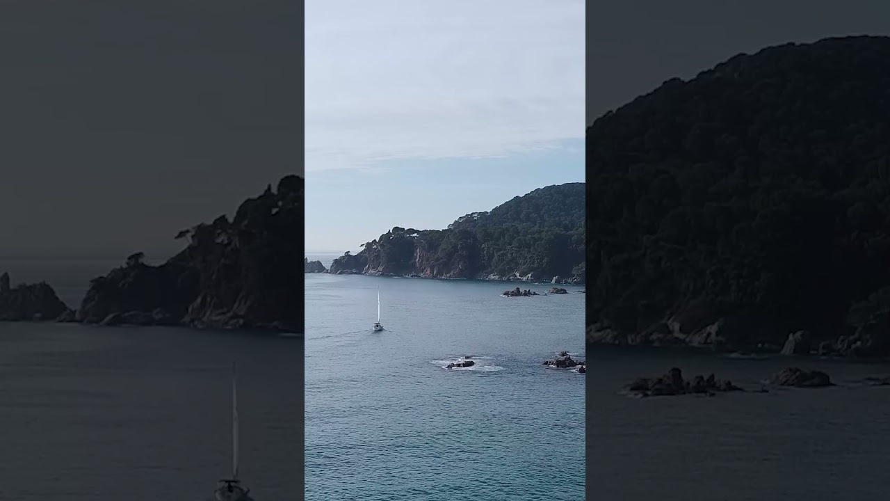 Dron. Fotógrafo Y Videógrafo Rost Kutuzov