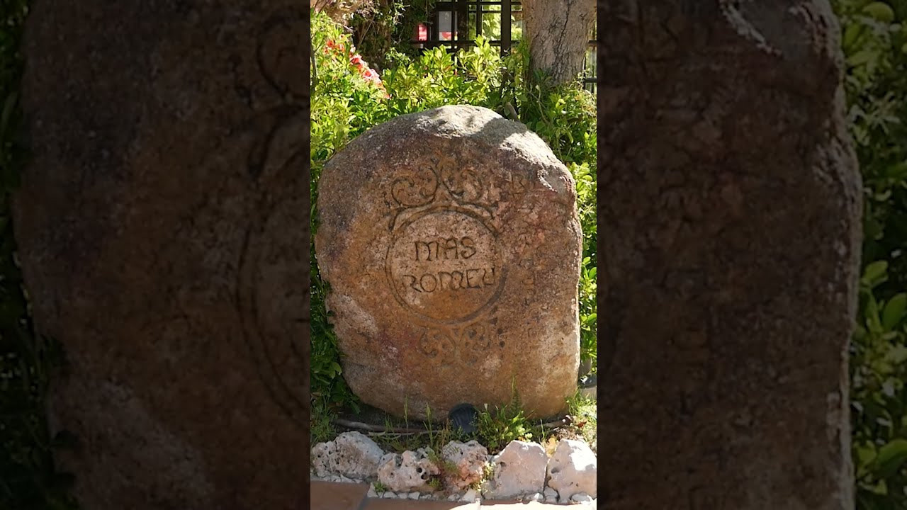 Videos para Reels y Historias de redes sociales. Fotógrafo Y Videógrafo Rost Kutuzov