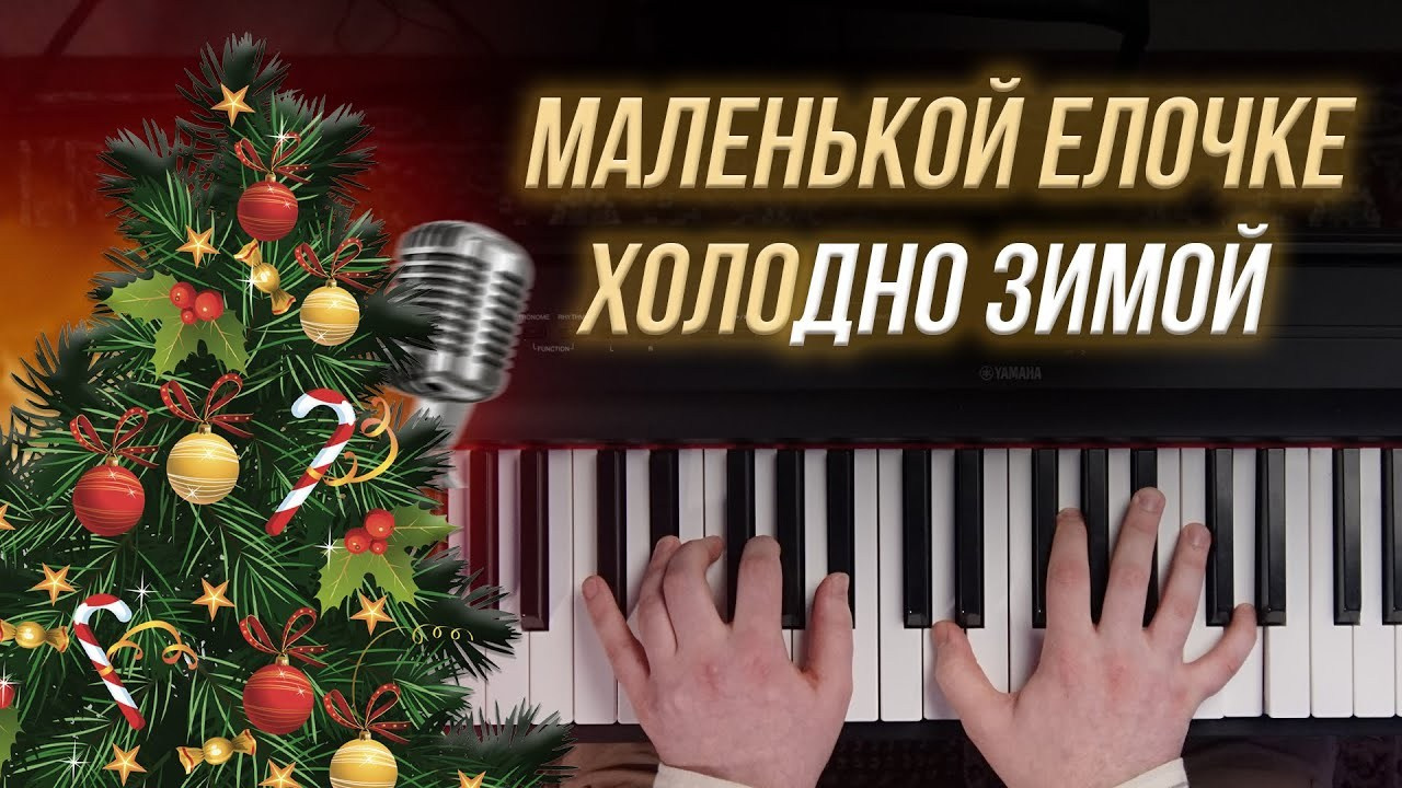 ОБРАЗОВАТЕЛЬНЫЙ КОНТЕНТ ДЛЯ СОЦИАЛЬНЫХ СЕТЕЙ. Павел Цибисов. Автор документального контента. Орехово-Зуево / Москва