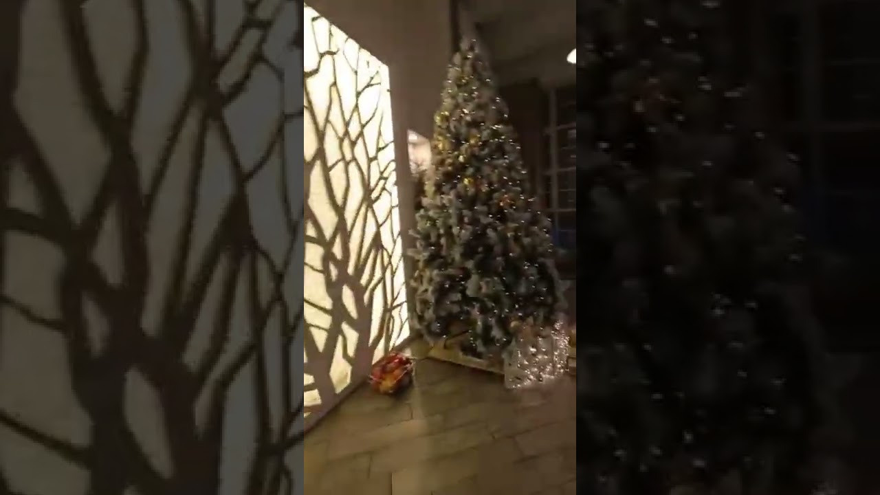 Видео. Семейный фотограф