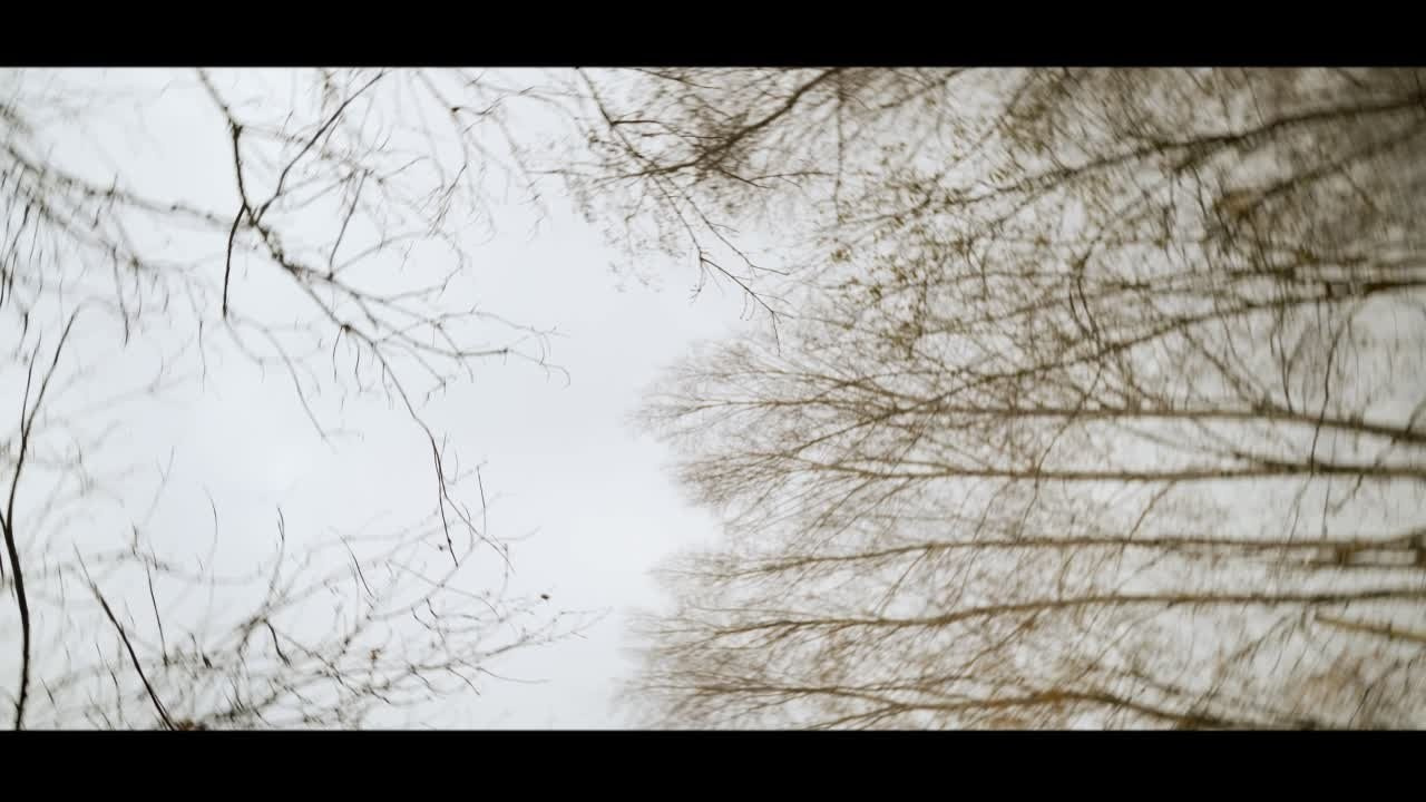 Рекламные клипы портфолио (видео)