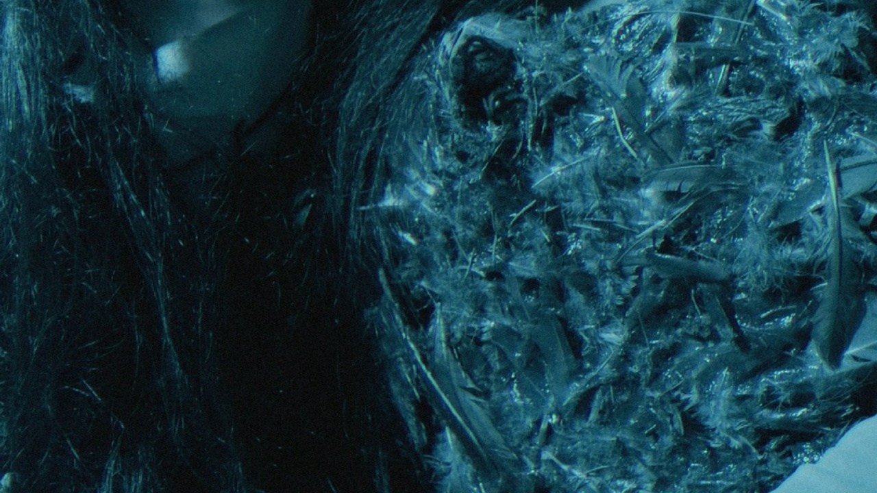 THE TRUE SELF. Rosebud. core production