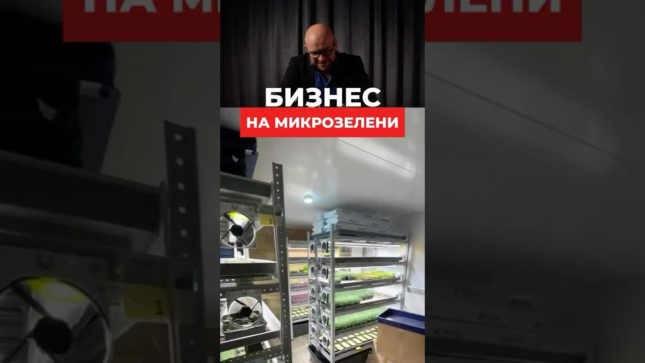 Съемка и монтаж shorts|reels (личный бренд). Видеограф | фотограф Москва