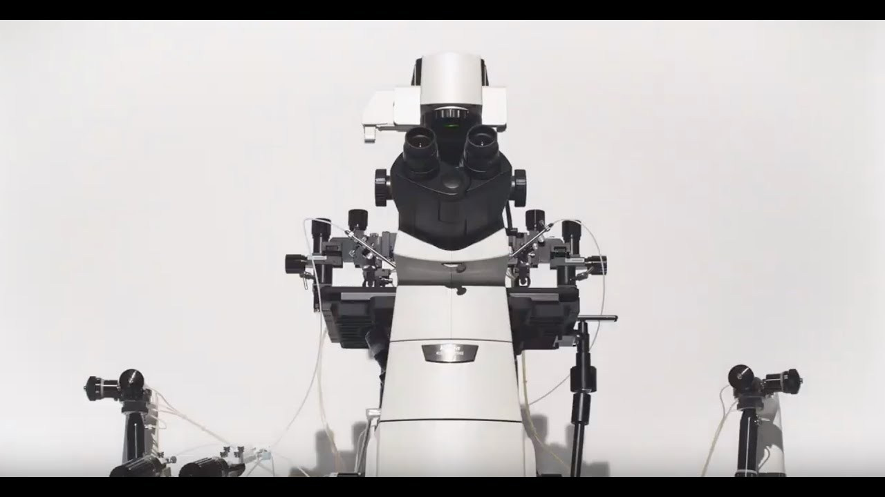 Рекламные ролики. All In Media — фотосъёмка и видеопродакшн