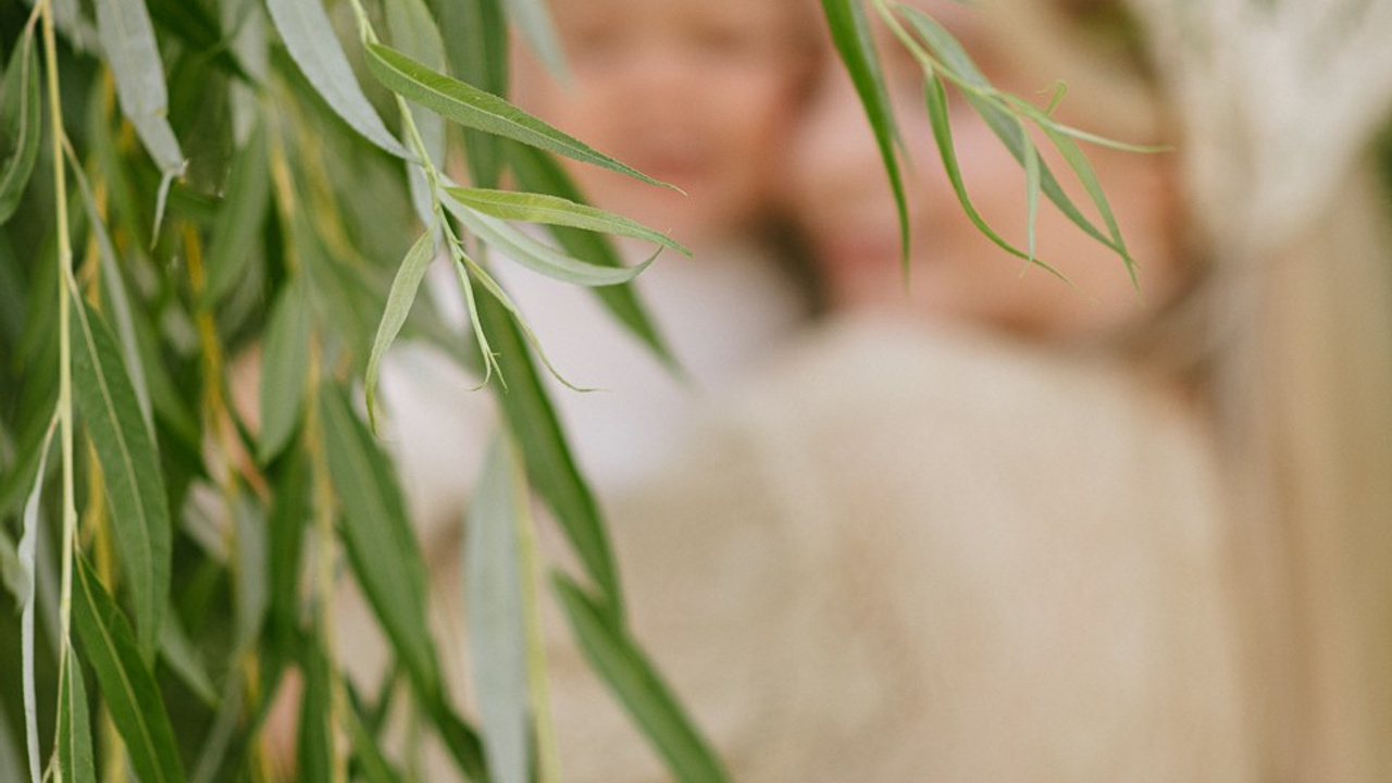 Август | на природе