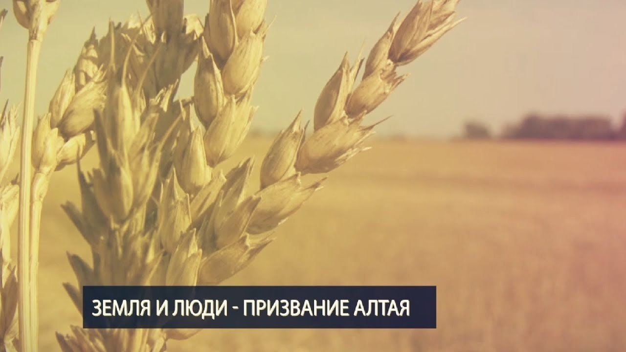 РЕКЛАМНАЯ ВИДЕОСЪЕМКА. Видеосъемка в Барнауле