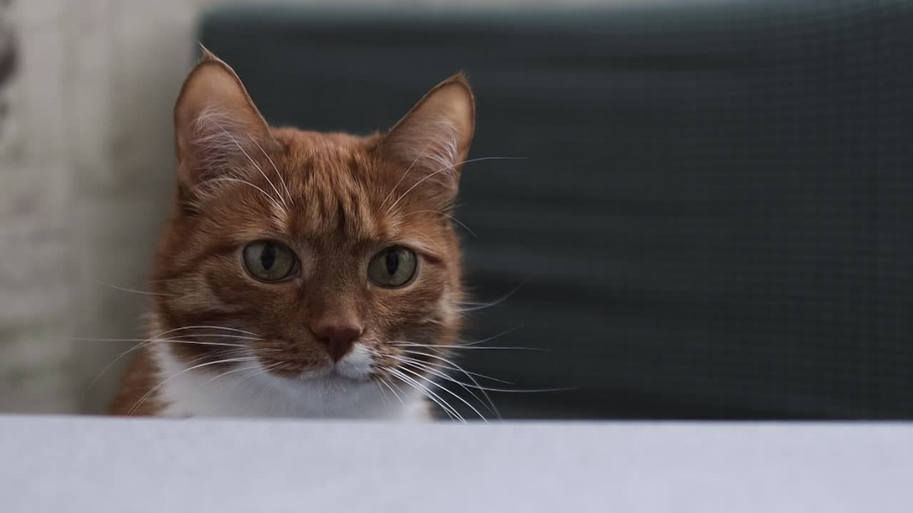 Видео. Фотограф Наталья Карякина|Челябинск