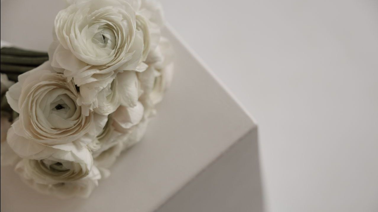 Zags. Стильный репортаж и кадры как в кино