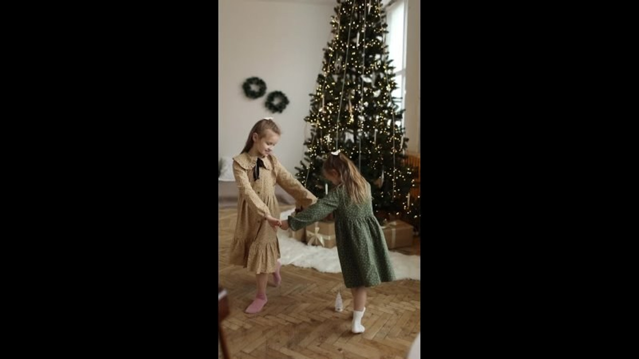 Новогодняя фотосессия двух сестричек. Фотограф Владимир Москва