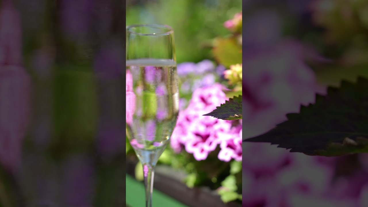 Reels. Фотограф и видеограф в Москве Павел Петровский