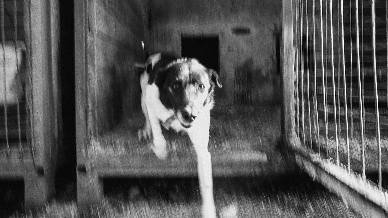 Синдром ожидания