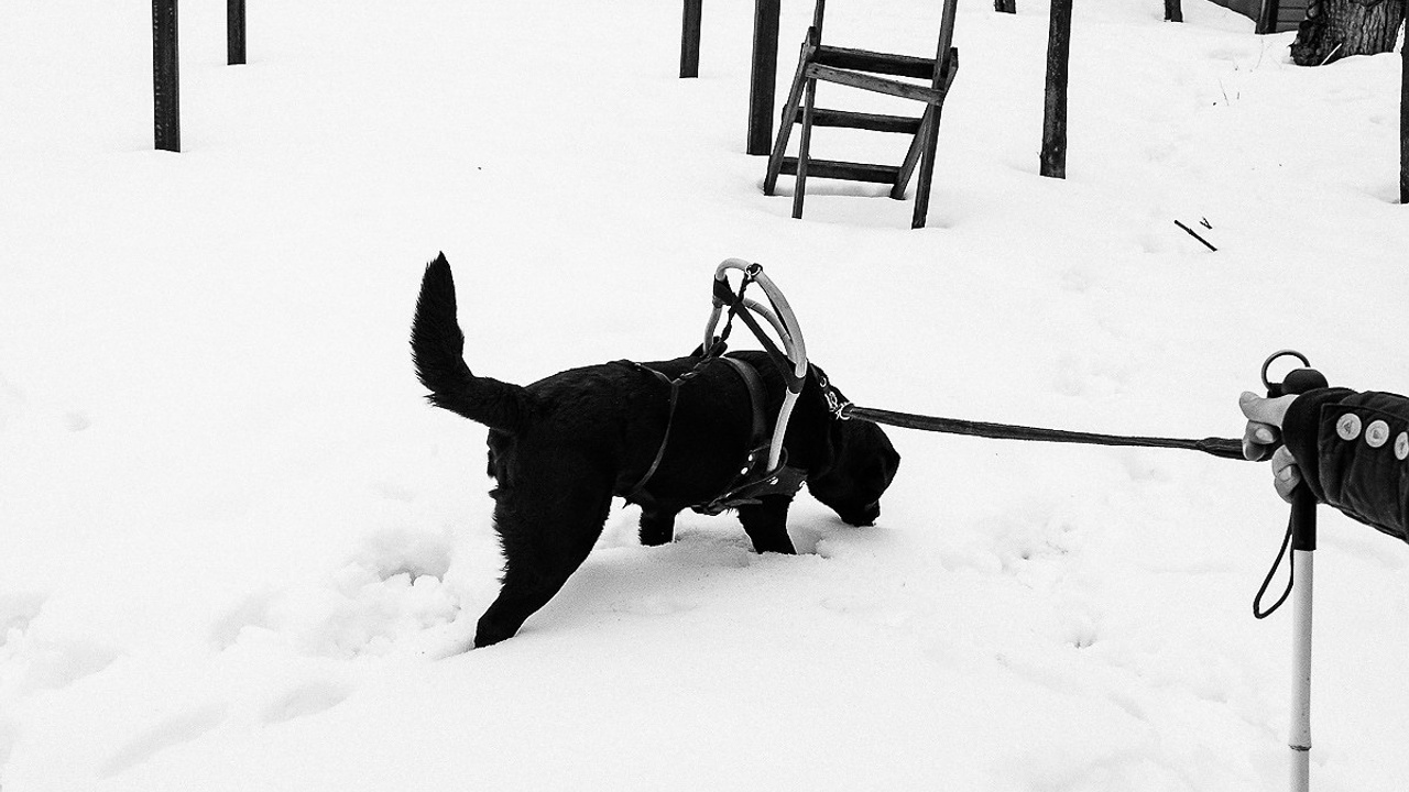 Больше, чем проводник