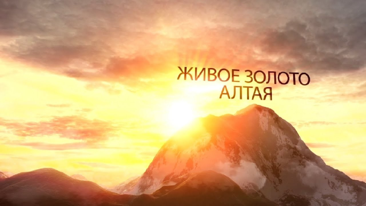 Рекламный ролик. Видео для бизнеса под ваши задачи