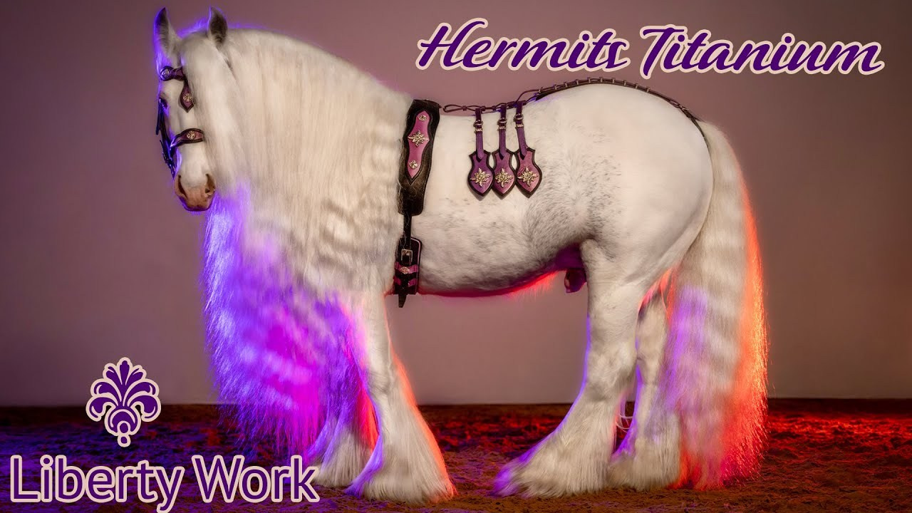 Съёмка с лошадьми (постановочные, художественные, тренировка). Mrs.Aquarelia Конный фотограф Марианна Леонтьева