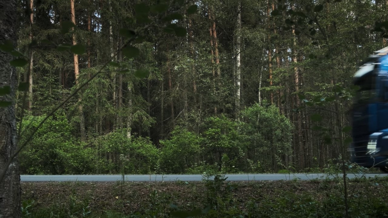 Horizont. Видеограф в Санкт-Петербурге — съёмка видео для бизнеса, недвижимости и спорта | Игорь Хмыров