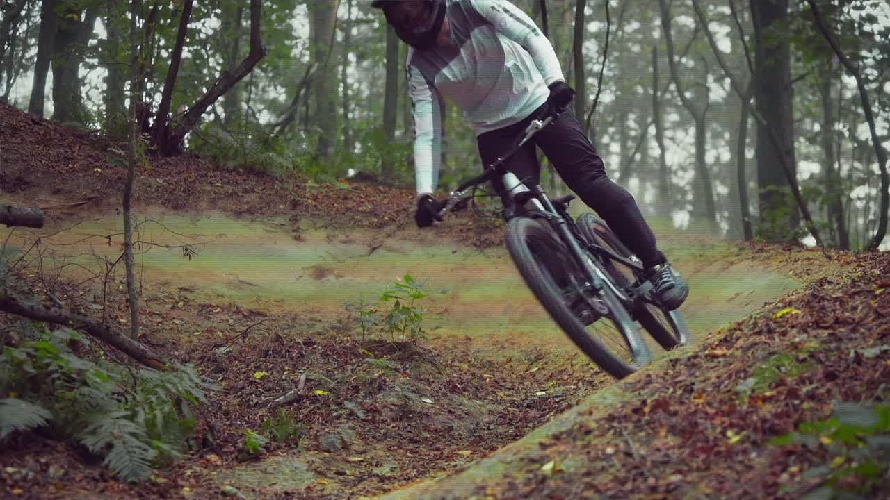 Видео. Фотограф анималист Никита Натальный