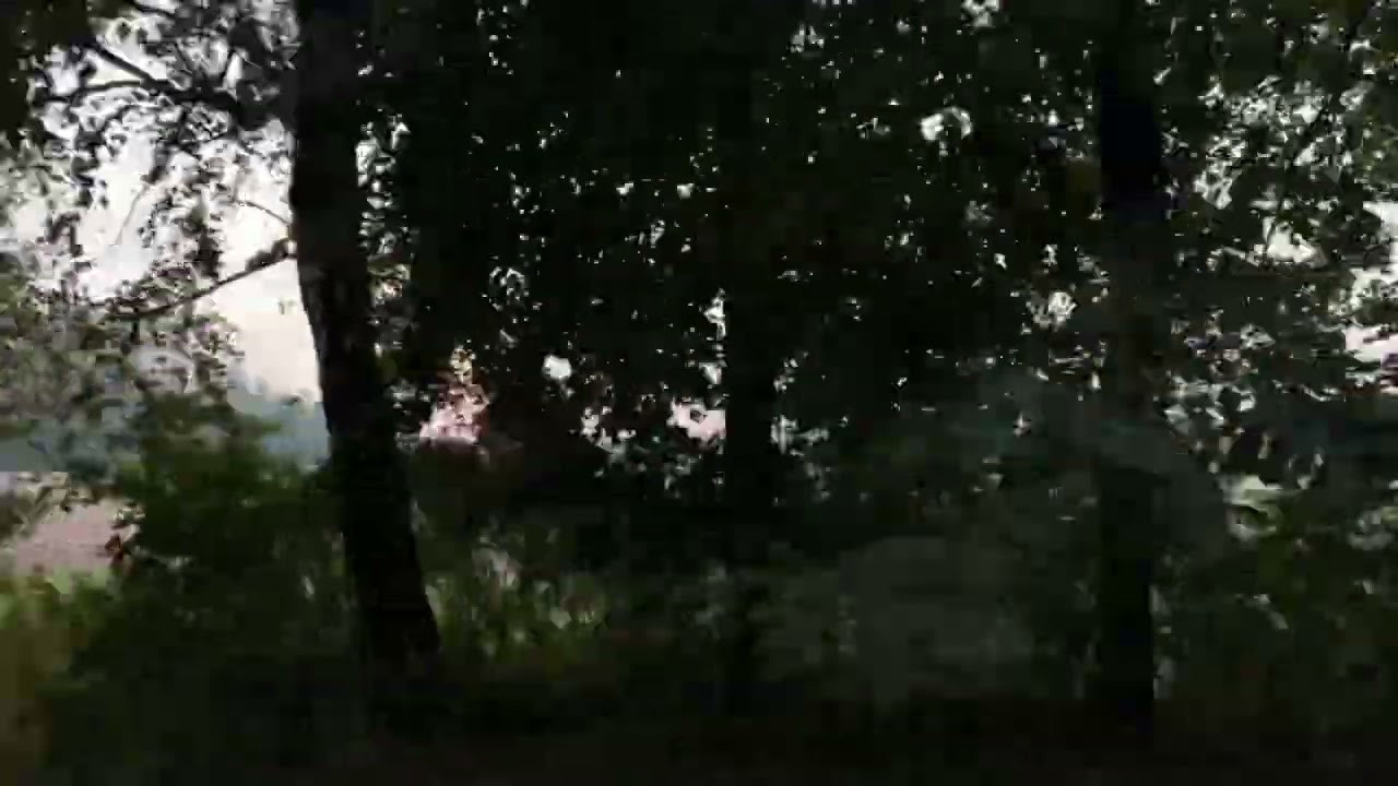 ВИДЕО. Дарья Бухреева — фотограф, видеограф и фототерапевт. Москва и мир