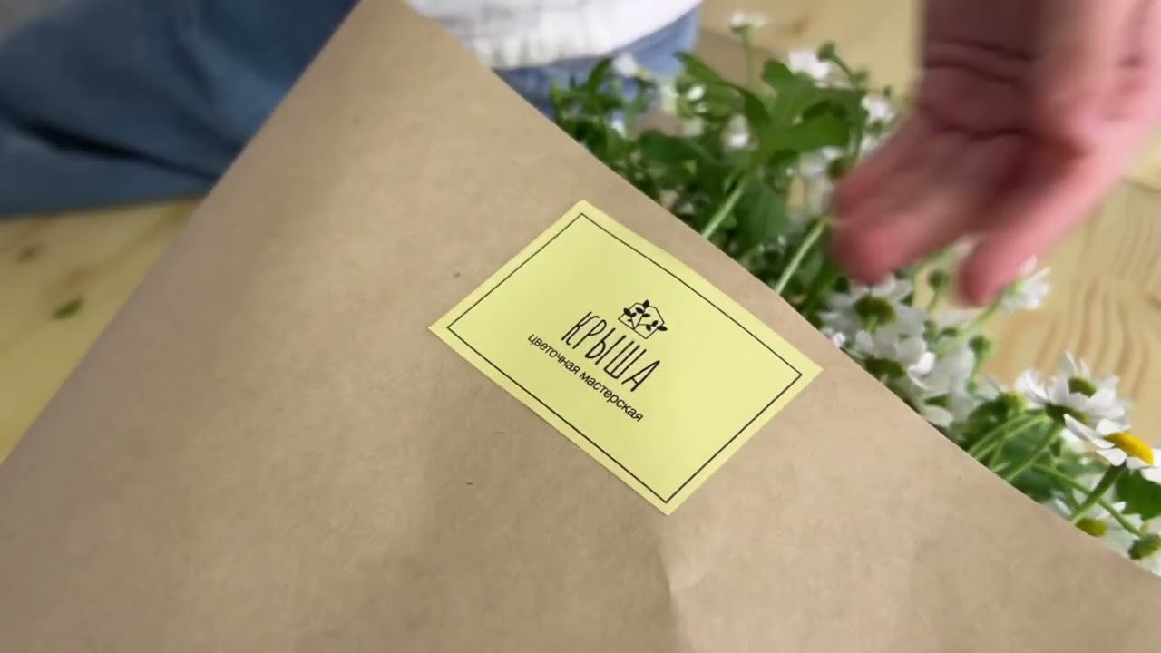 ВИДЕО. Дарья Бухреева — фотограф, видеограф и фототерапевт. Москва и мир