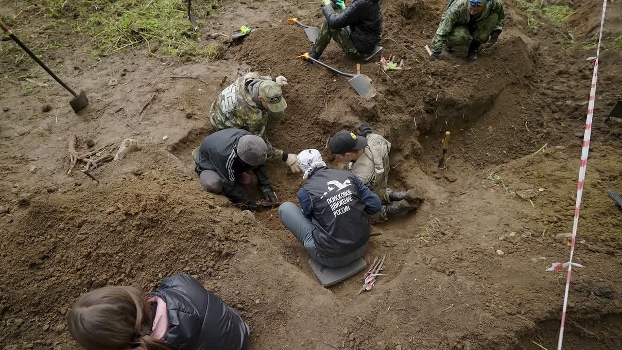 Государственные проекты. Chehran.ru