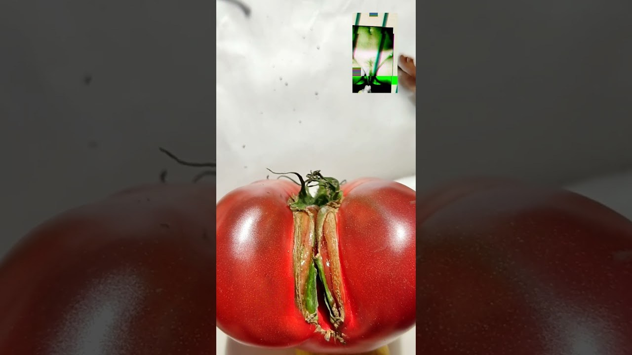 Иконическое. Избранное. Бесценное. Punctum