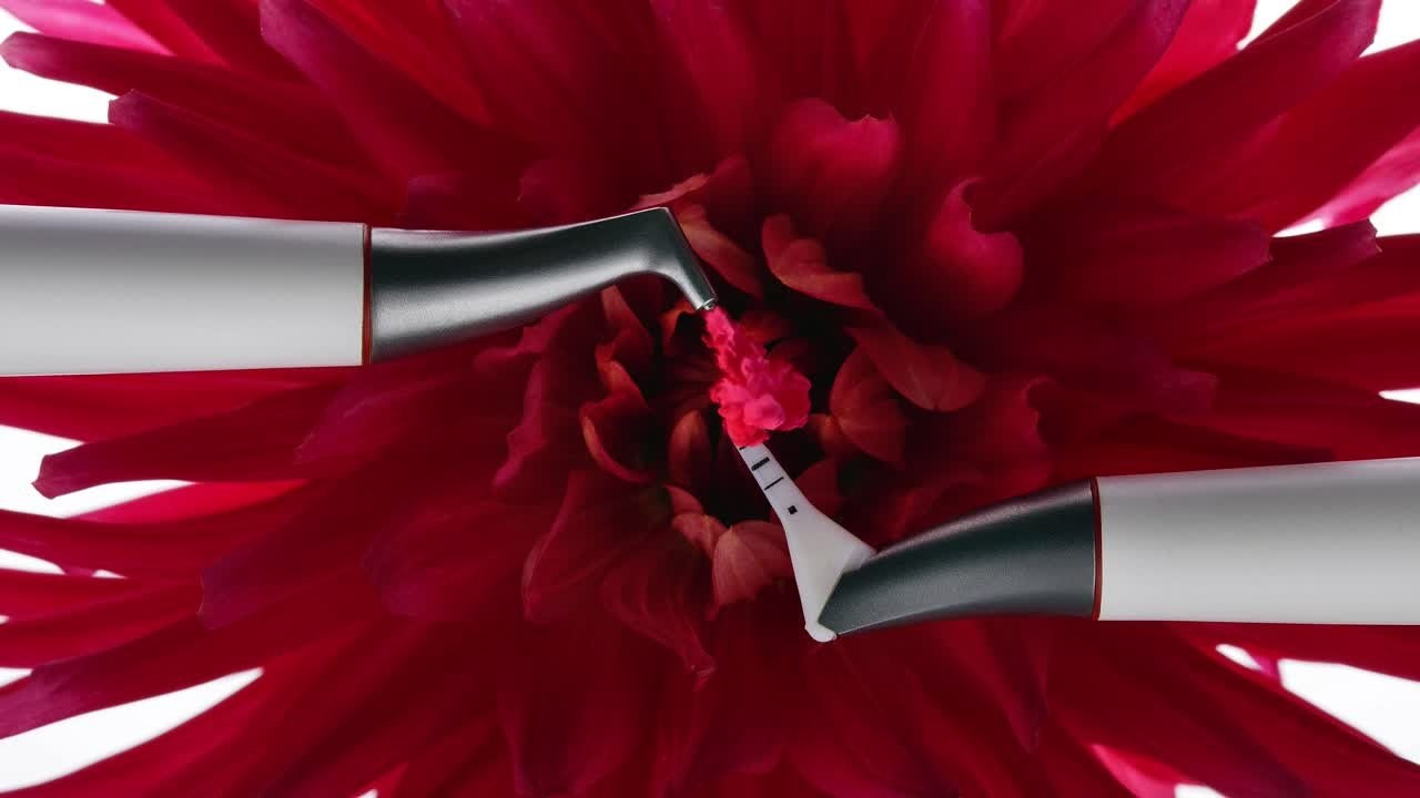 Арт. Дентал фотограф — видеограф Денис Дорошенко