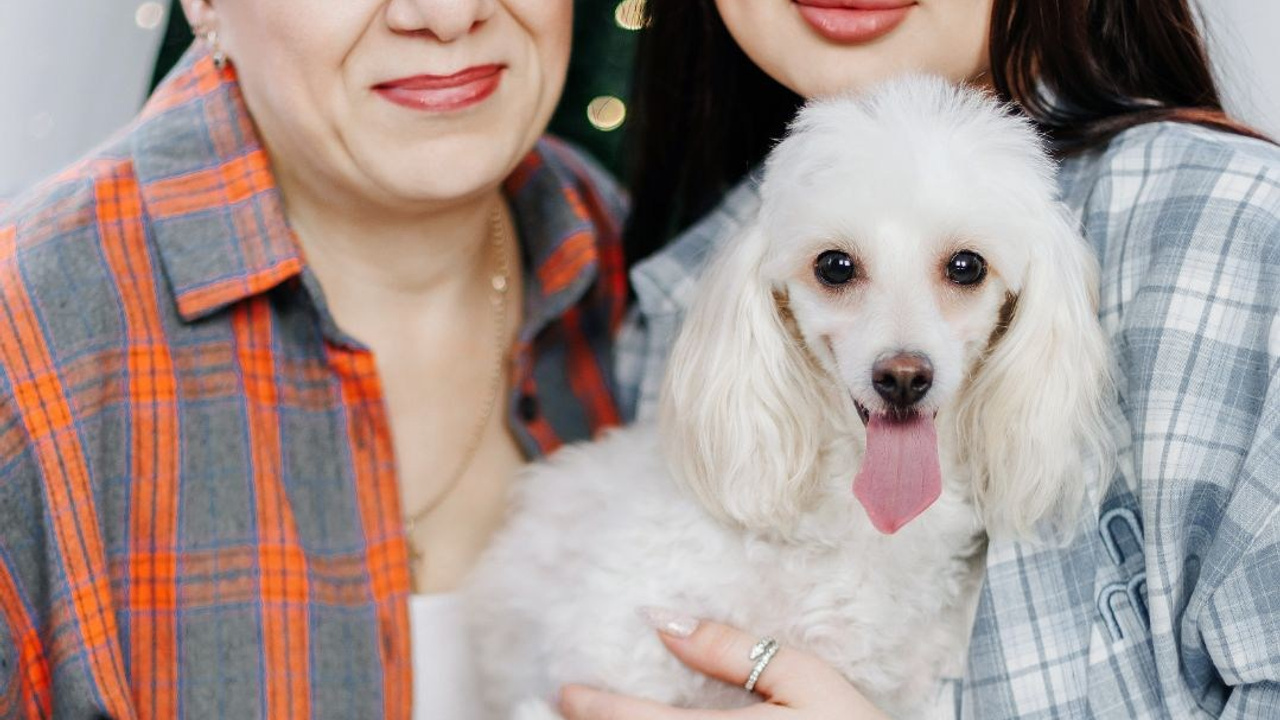 VideoStory. Свадебный и семейный фотограф в городе Воронеж. Ирина Боловина