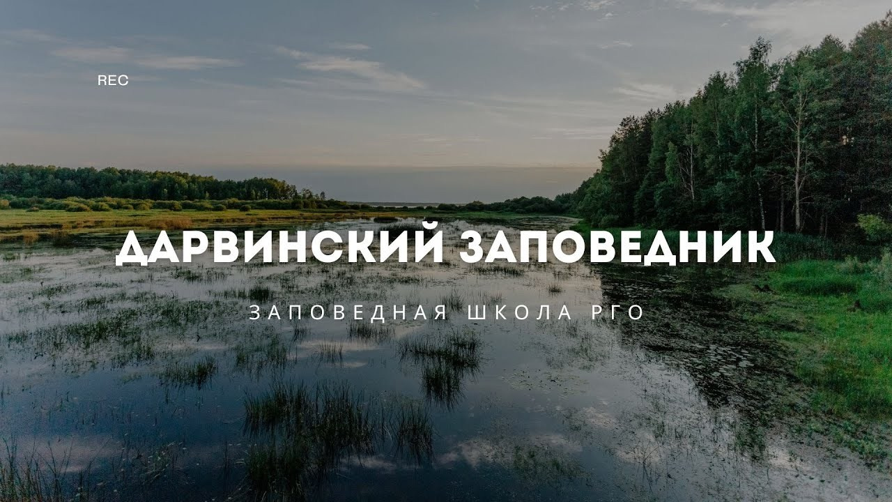 Авторское видео. Репортажный фотограф в Крыму Ксения Гасица