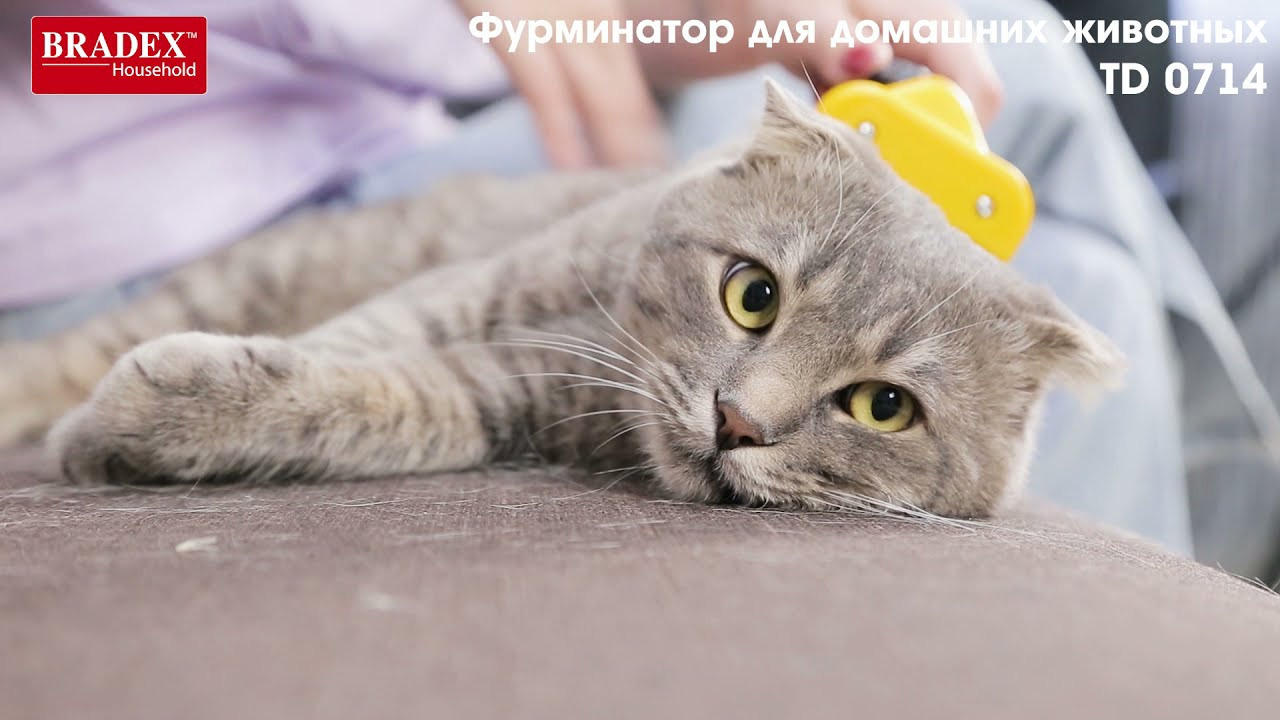 Предметная съемка. Профессиональная видеосъемка любых мероприятий