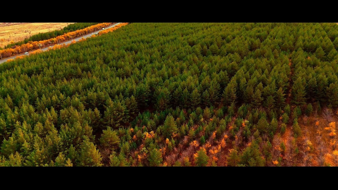 Graduation party. Видеограф и Фотограф в Алматы и Караганда