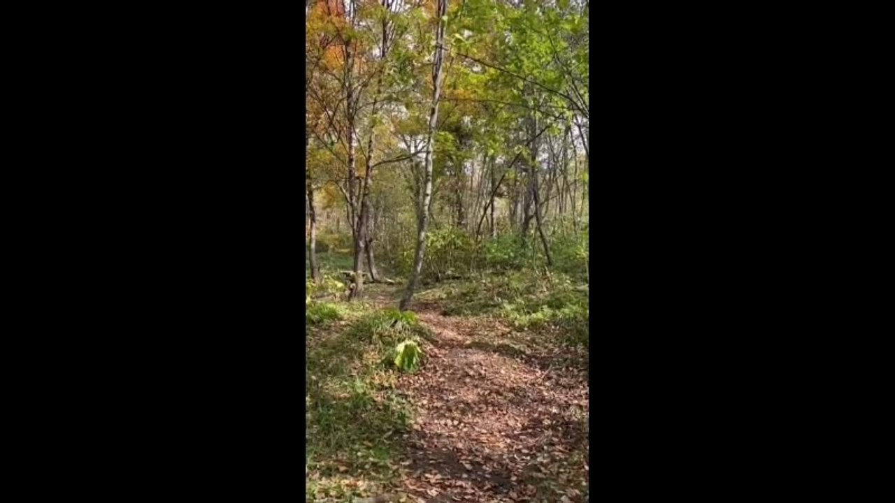Видео со съемок. Фотограф в Южно-Сахалинске Гусаков Евгений