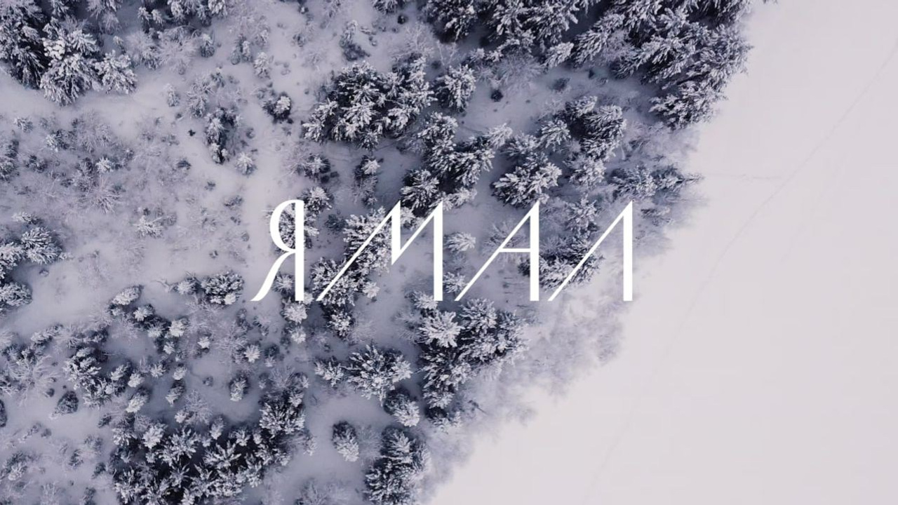 Портфолио. Оператор-постановщик в Москве