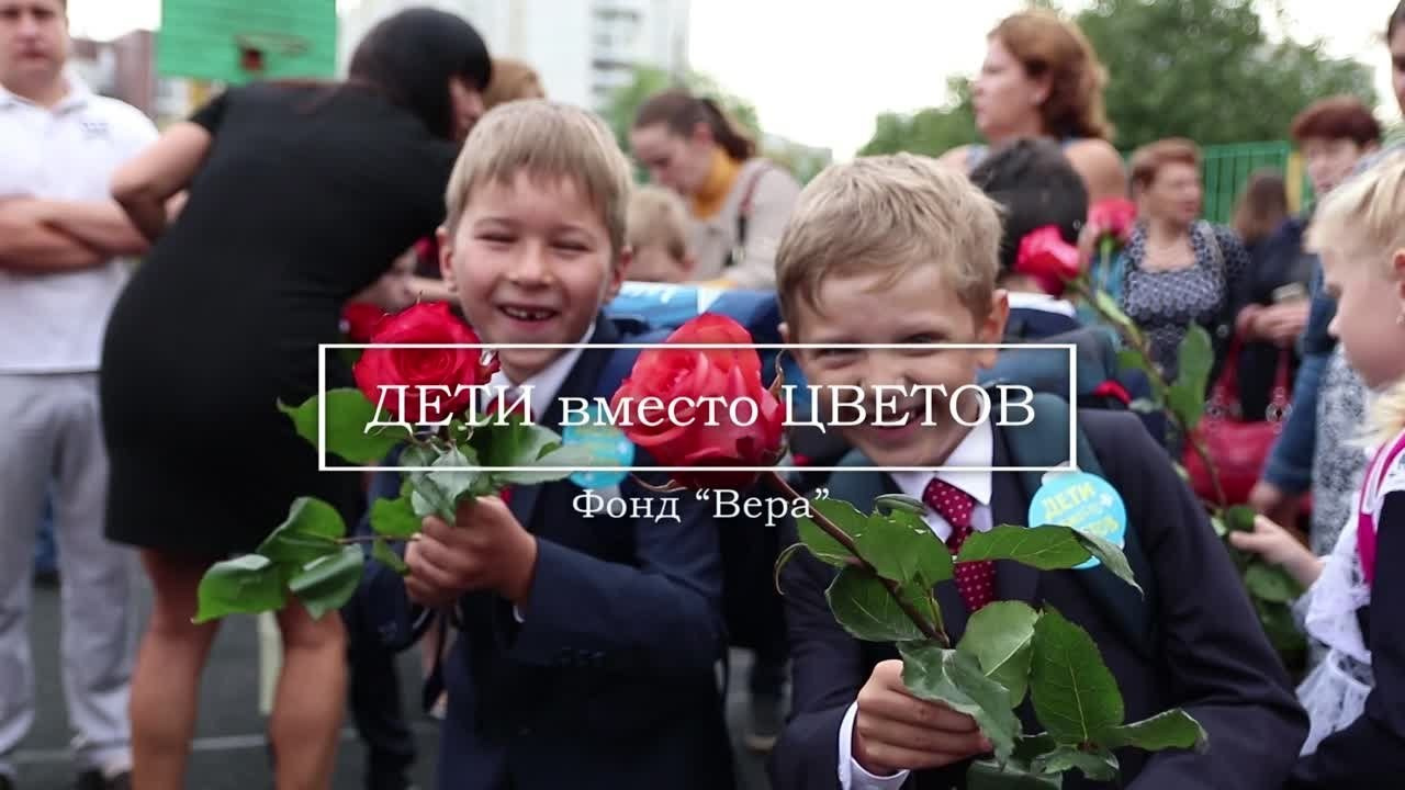 Сады/Школы. Фотограф и Видеограф