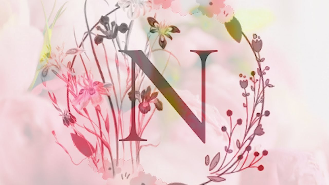 Праздник. Фотограф и Видеограф