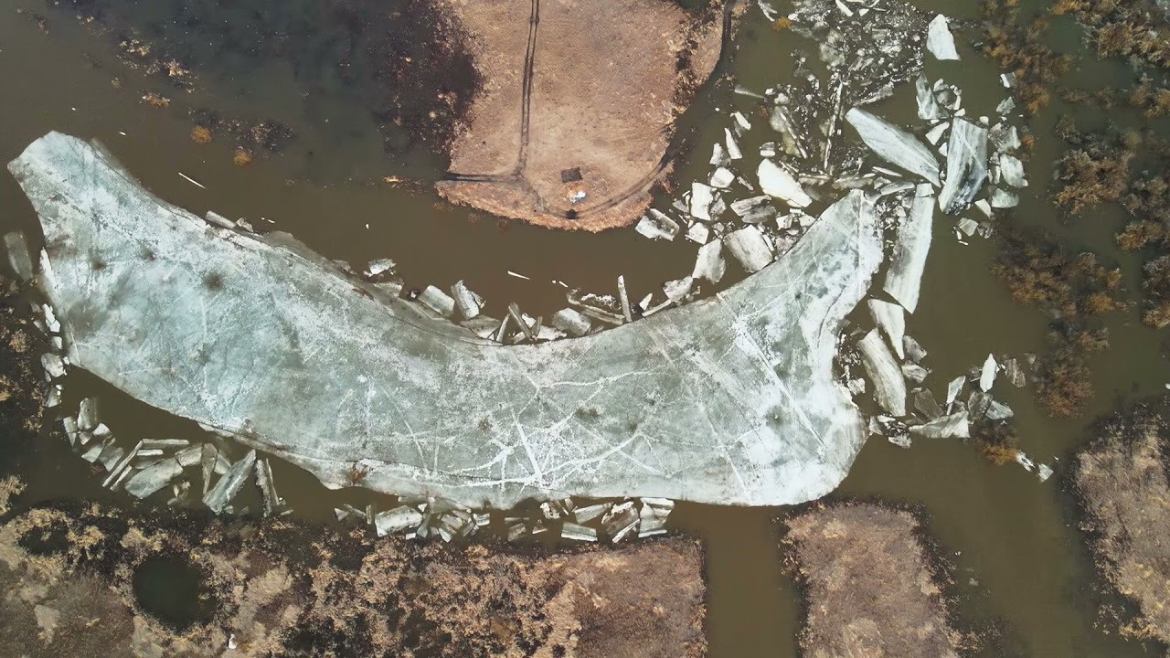 Видео. Фотография