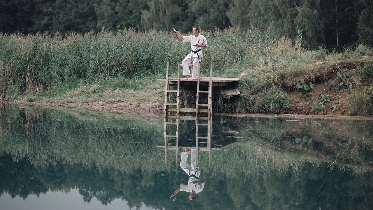 Видео. Фотография