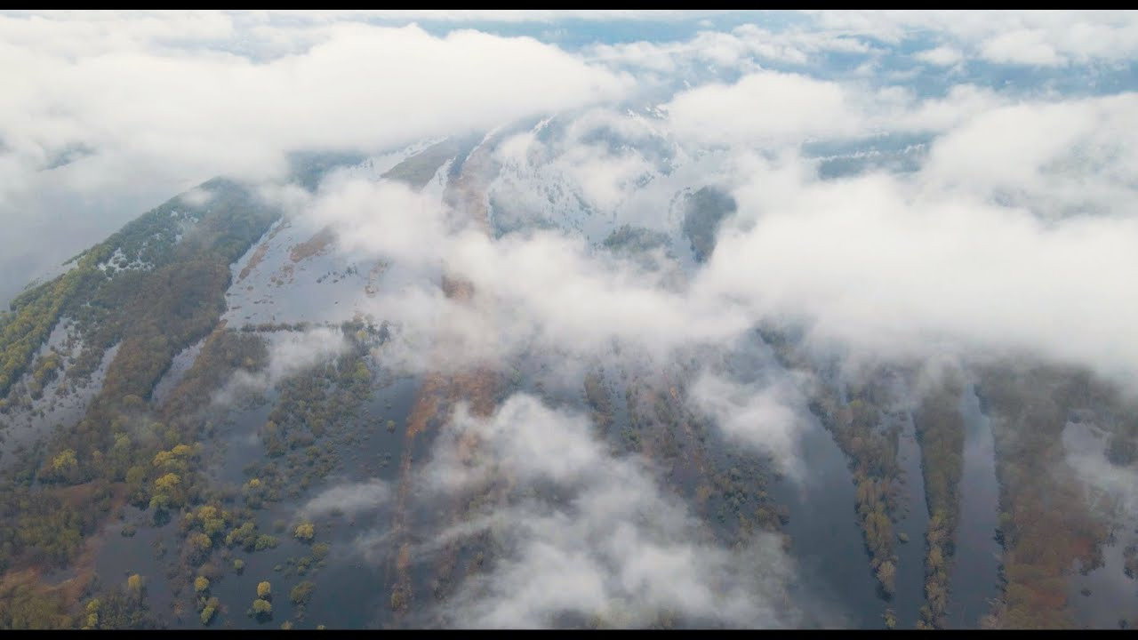 Видео. Фотография