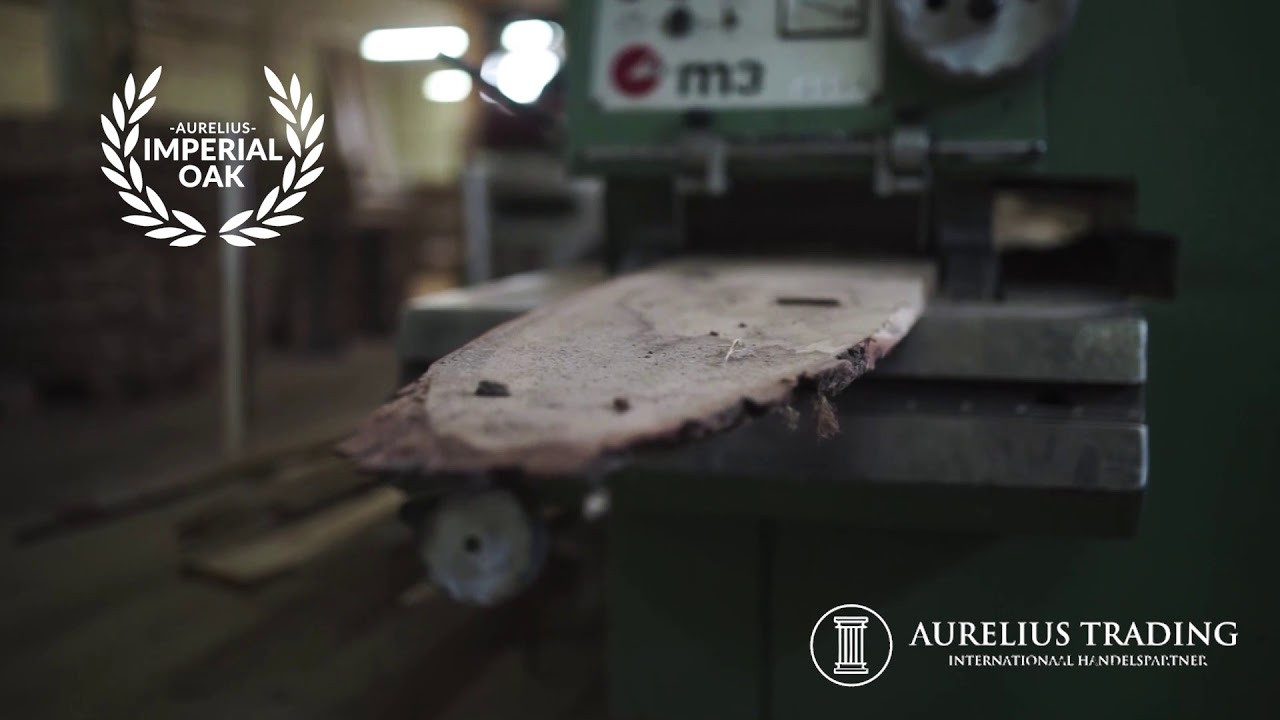 Видео. Фотограф в Европе, Москве и Минске