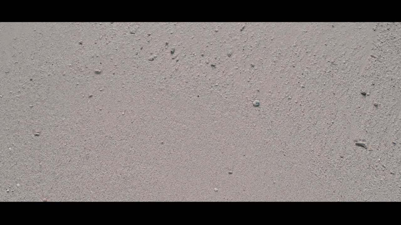 Свадебные видеоклипы