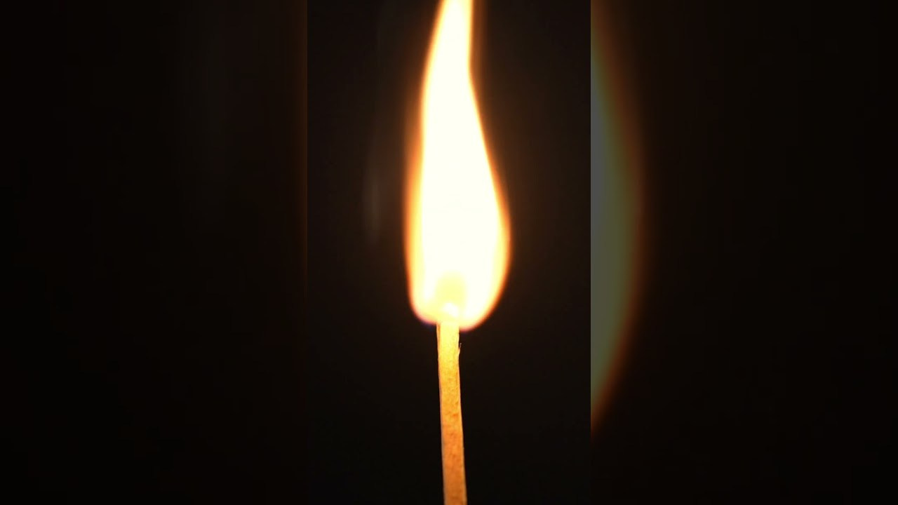 Видео. Фотограф из Санкт-Петербурга