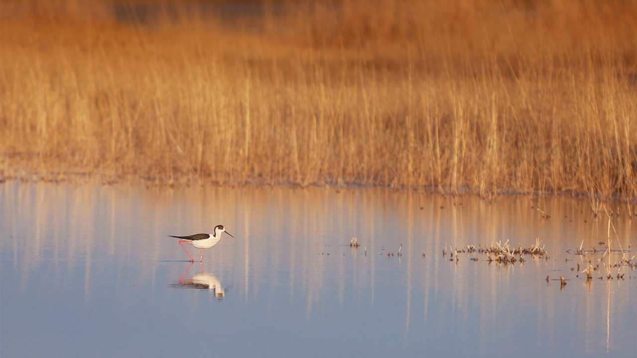 Фототур на озёра Эльтон и Баскунчак. Пейзажный & Timelapse фотограф Роман Любимский