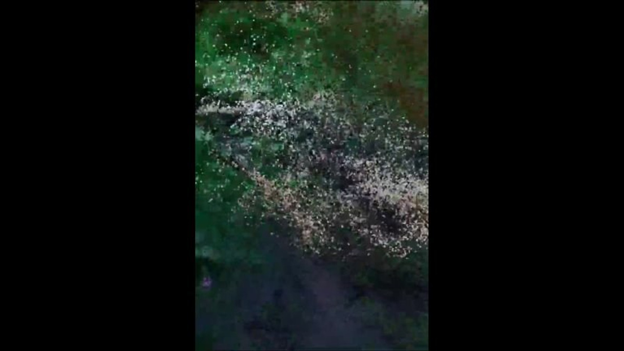 Творческая фотосессия в готическом стиле. Семейный и свадебный фотограф в Краснодаре Михеева Светлана