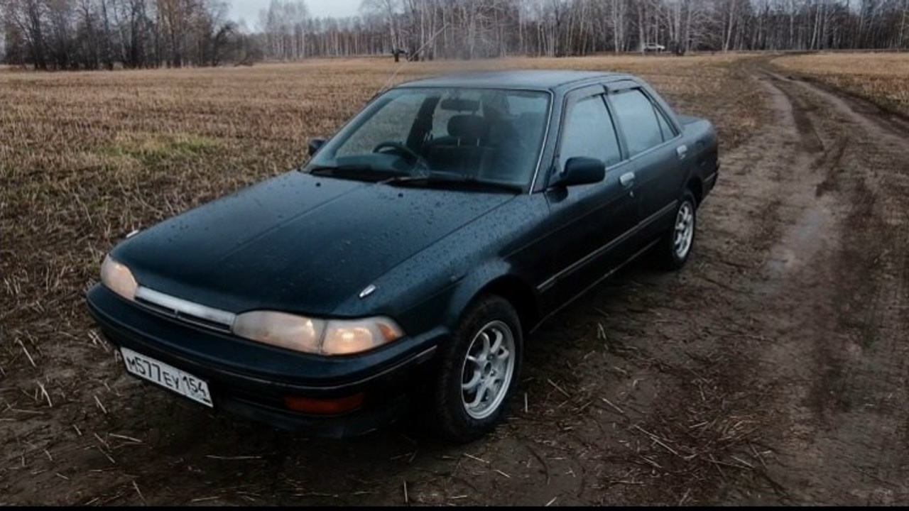 Carina. Goncharov Tim