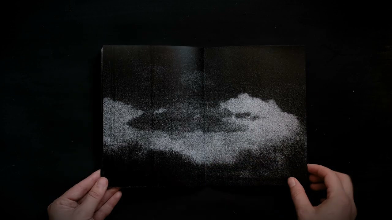 I Hear the Birds. Viktoria Kovshikova