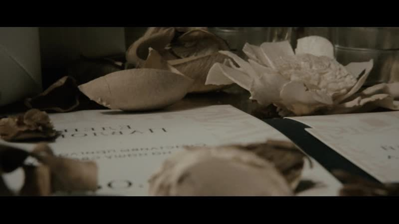 Evgeniy & Kristina. Фотограф Евгений Бирюков