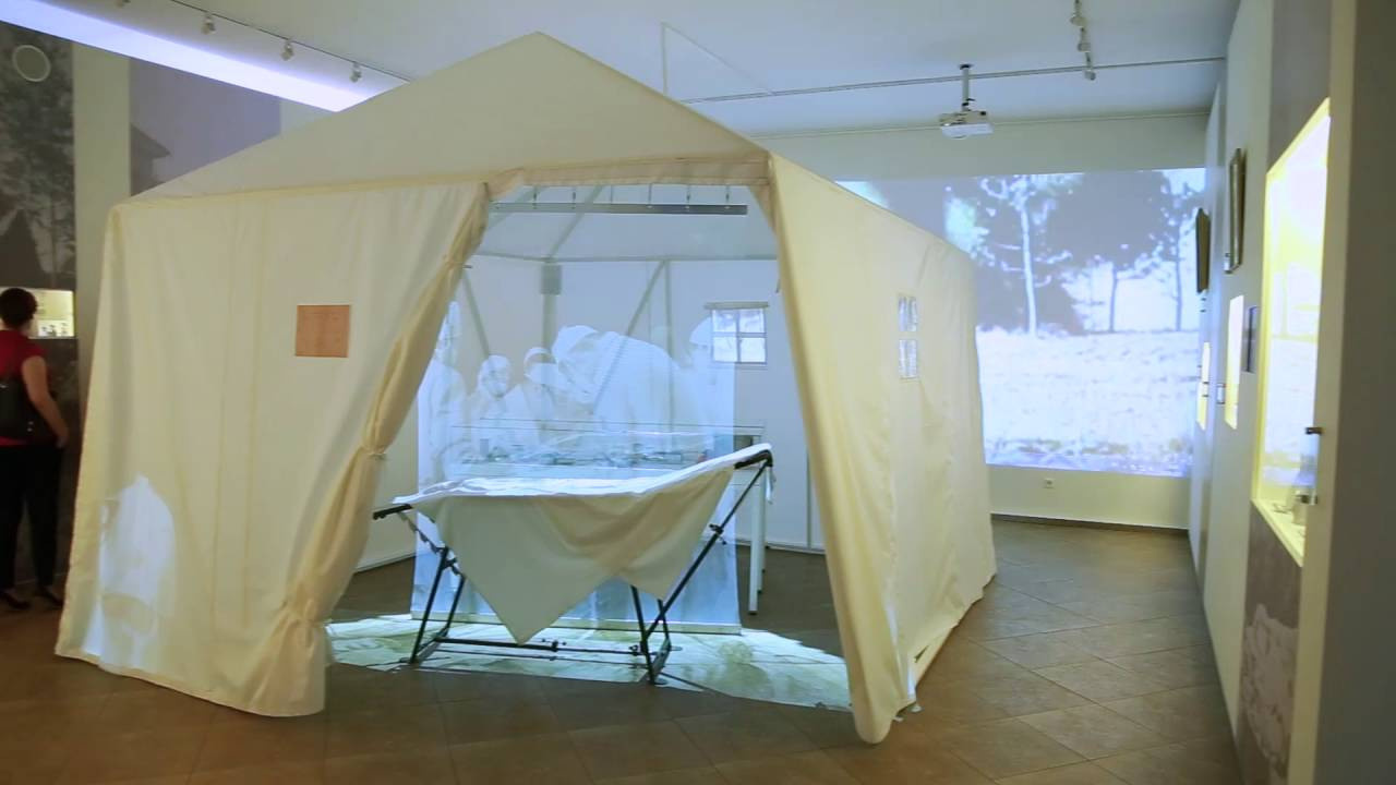 Музей медицины: обзор проекционной сетки. Креатор Ольга Яш