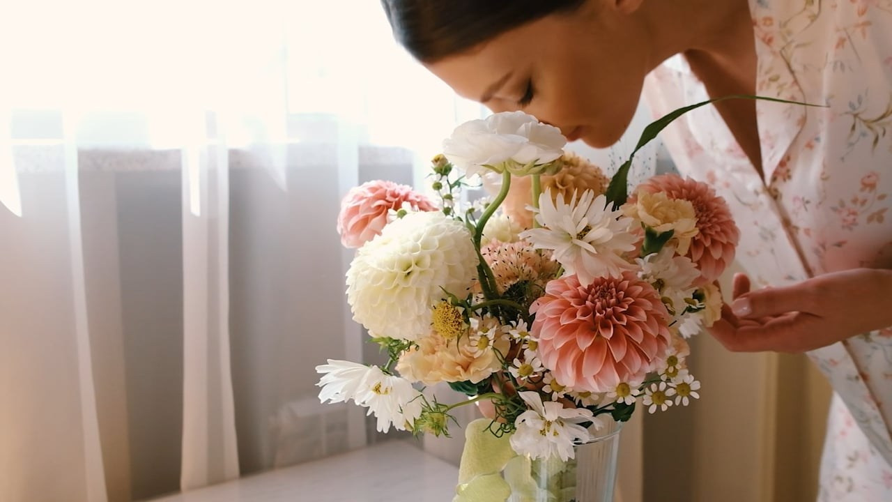 Видео. Anya.vision