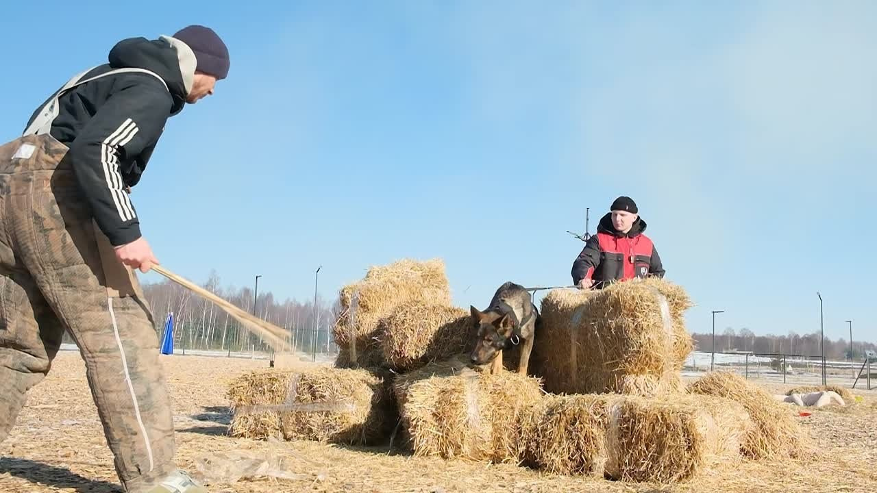 Съемки животных. Репортажная фото и видеосъемка в Москве под ключ
