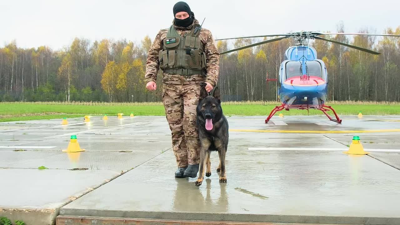 Съемки животных. Репортажная фото и видеосъемка в Москве под ключ