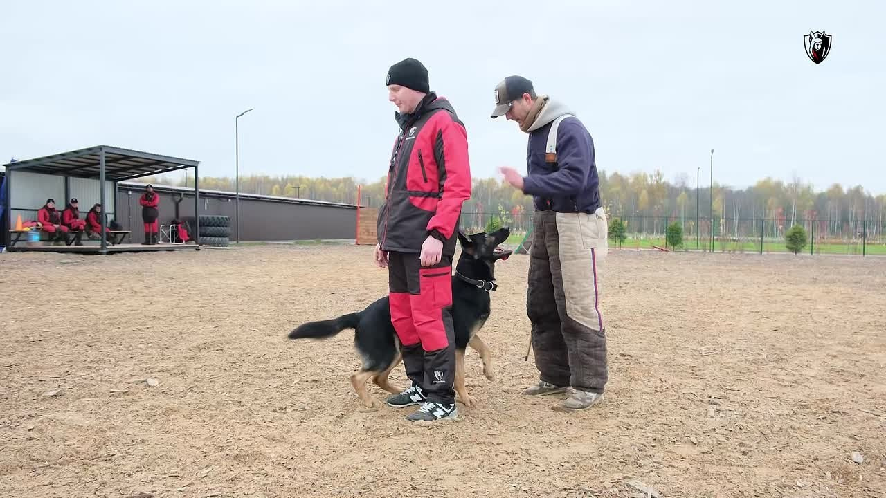 Съемки животных. Репортажная фото и видеосъемка в Москве под ключ